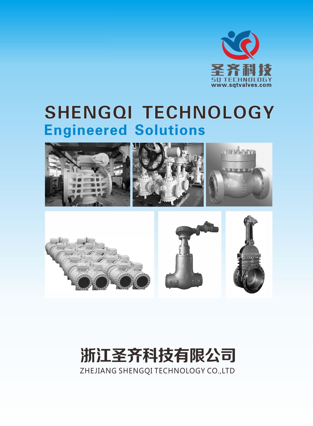 SHENGQI TECHNOLOGY(ʥRƼE-BOOK